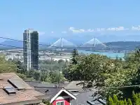 917 LADNER STREET - thumbnail 2