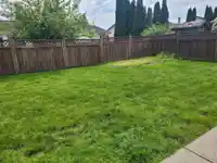 3015 CASSIAR AVENUE - thumbnail 24