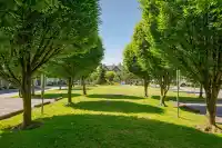 9 20540 66 AVENUE - thumbnail 37
