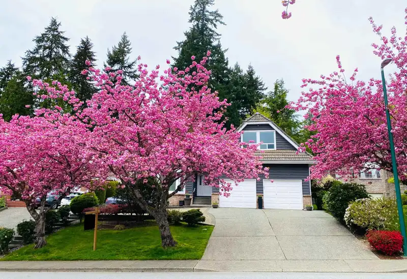 2443 LECLAIR DRIVE - photo 2 of 40