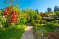 1177 ADAMS ROAD - thumbnail 2