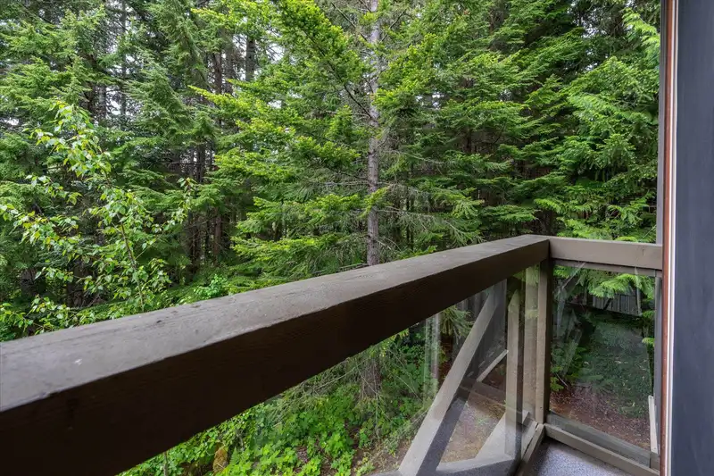 325 4660 BLACKCOMB WAY - photo 3 of 28
