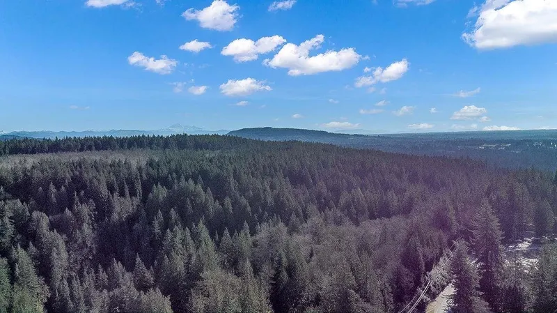 23215 141 AVENUE - photo 4 of 17