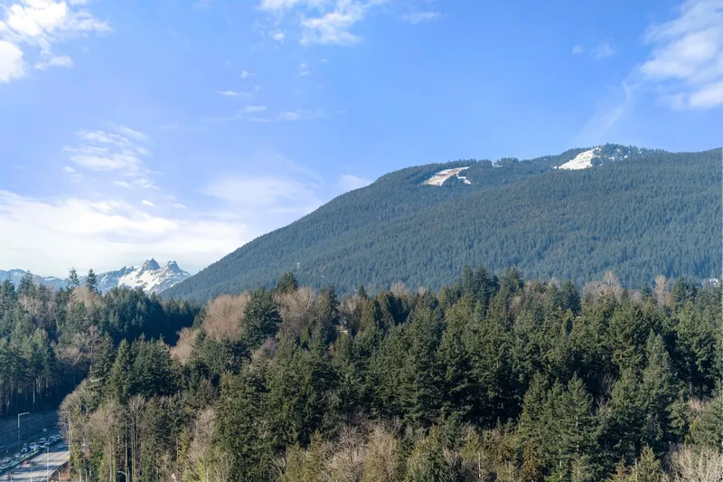 1807 1500 FERN STREET - photo 4 of 25