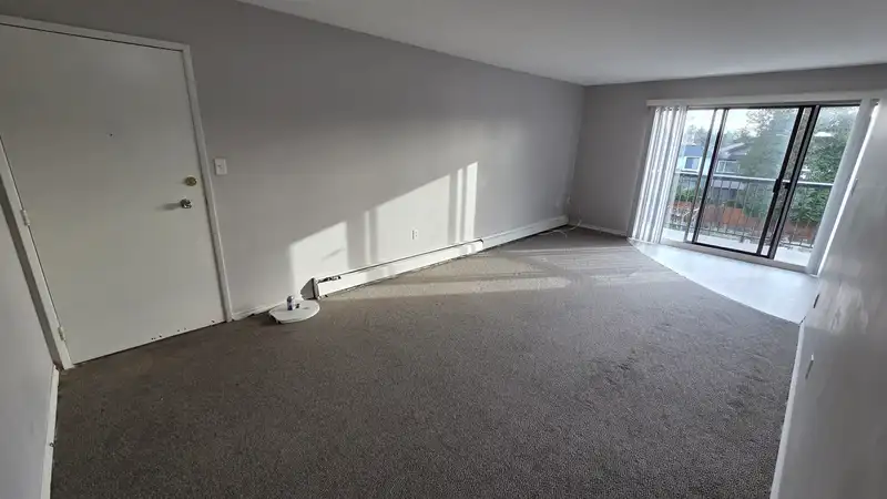 339 8091 RYAN ROAD - photo 2 of 14