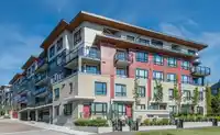 212 13925 FRASER HIGHWAY - thumbnail 17