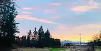18106 32 AVENUE - thumbnail 19