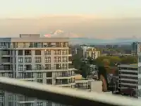 PH1506 7977 LANSDOWNE ROAD - thumbnail 29