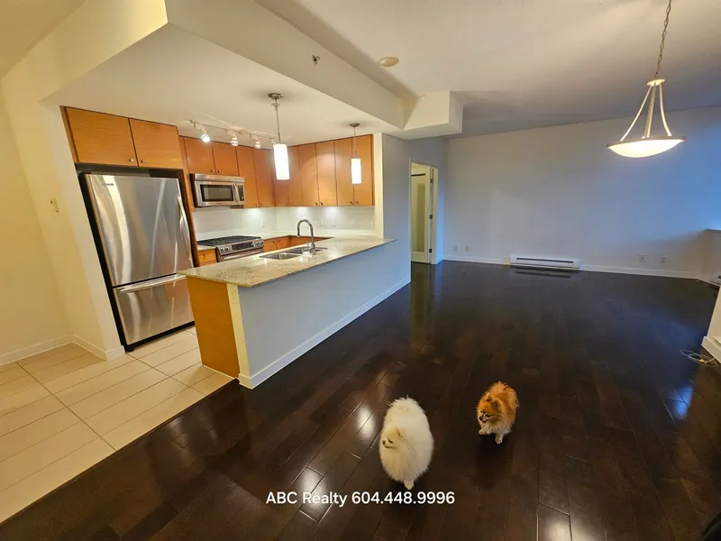 301 7362 ELMBRIDGE WAY - photo 2 of 25