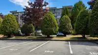 505 9320 PARKSVILLE DRIVE - thumbnail 23