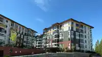504 11641 227 STREET - thumbnail 1