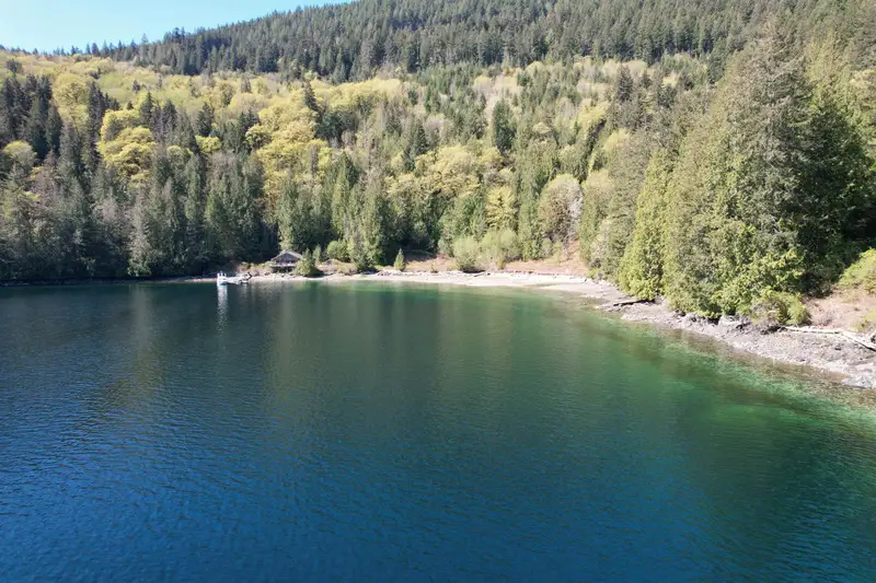 DL 4055 E DARK COVE JERVIS ROAD - photo 3 of 25