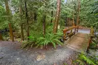 5639 WHITE PINE LANE - thumbnail 31