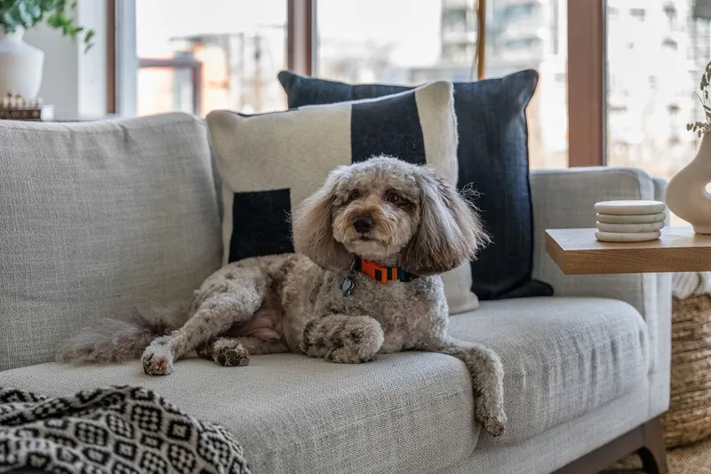 404 1633 W 8TH AVENUE - photo 4 of 25