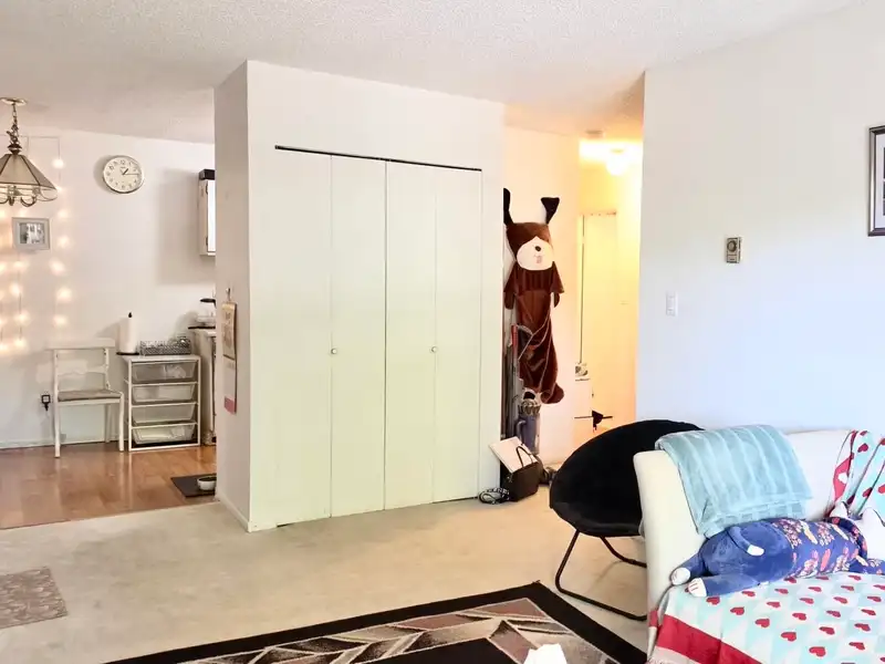 220 8231 GRANVILLE AVENUE - photo 4 of 11