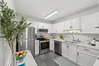 302 1355 WINTER STREET - thumbnail 9