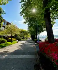 1006 10 LAGUNA COURT - thumbnail 25