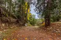 13885 CASSANO ROAD - thumbnail 14