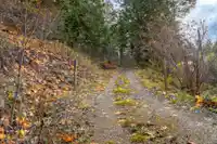 13885 CASSANO ROAD - thumbnail 4
