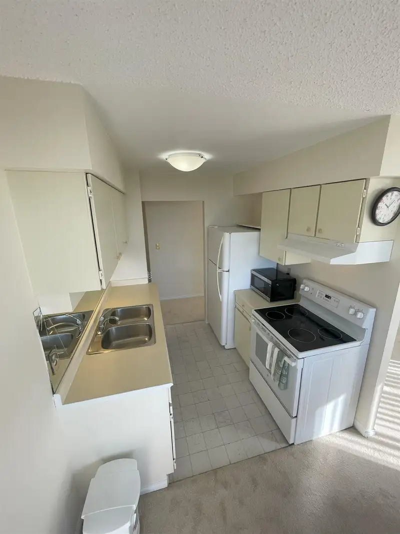 306 3740 ALBERT STREET - photo 4 of 10