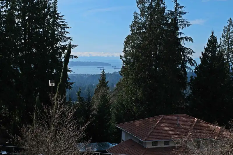 4989 CHALET PLACE - photo 3 of 36