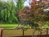 8542 MCCUTCHEON AVENUE - thumbnail 36