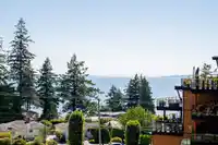 509 14855 THRIFT AVENUE - thumbnail 24