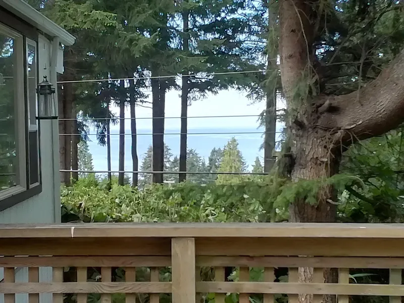 20 5288 SELMA PARK ROAD - photo 3 of 25