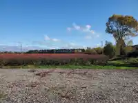 10133 FRANCIS ROAD - thumbnail 6