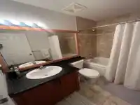 33 23343 KANAKA WAY - thumbnail 29