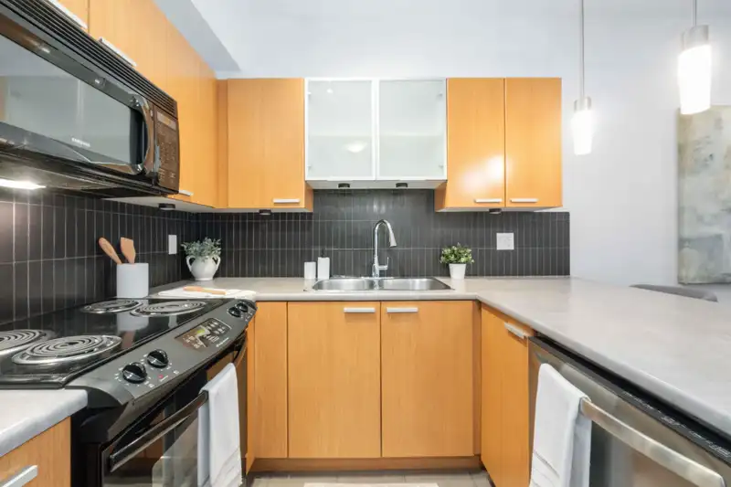 309 10455 UNIVERSITY DRIVE - photo 4 of 25