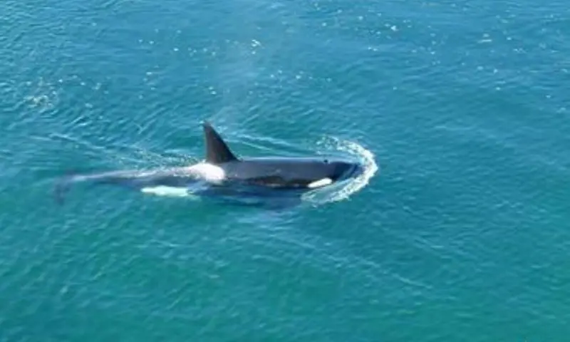 315 DEACON LANE - photo 3 of 25