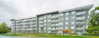 210 10838 WHALLEY BOULEVARD - thumbnail 12