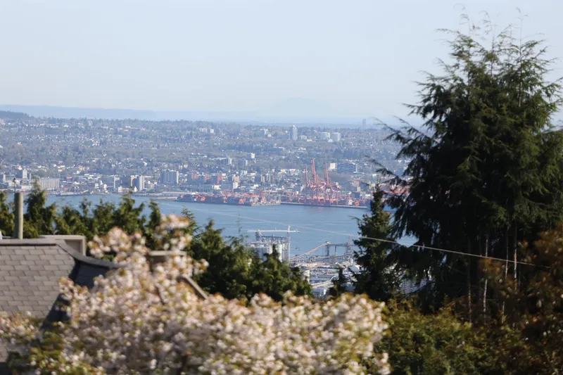 1109 HILLSIDE ROAD - photo 3 of 25