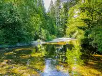 22696 132 AVENUE - thumbnail 9