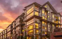 309 8561 203A STREET - thumbnail 39