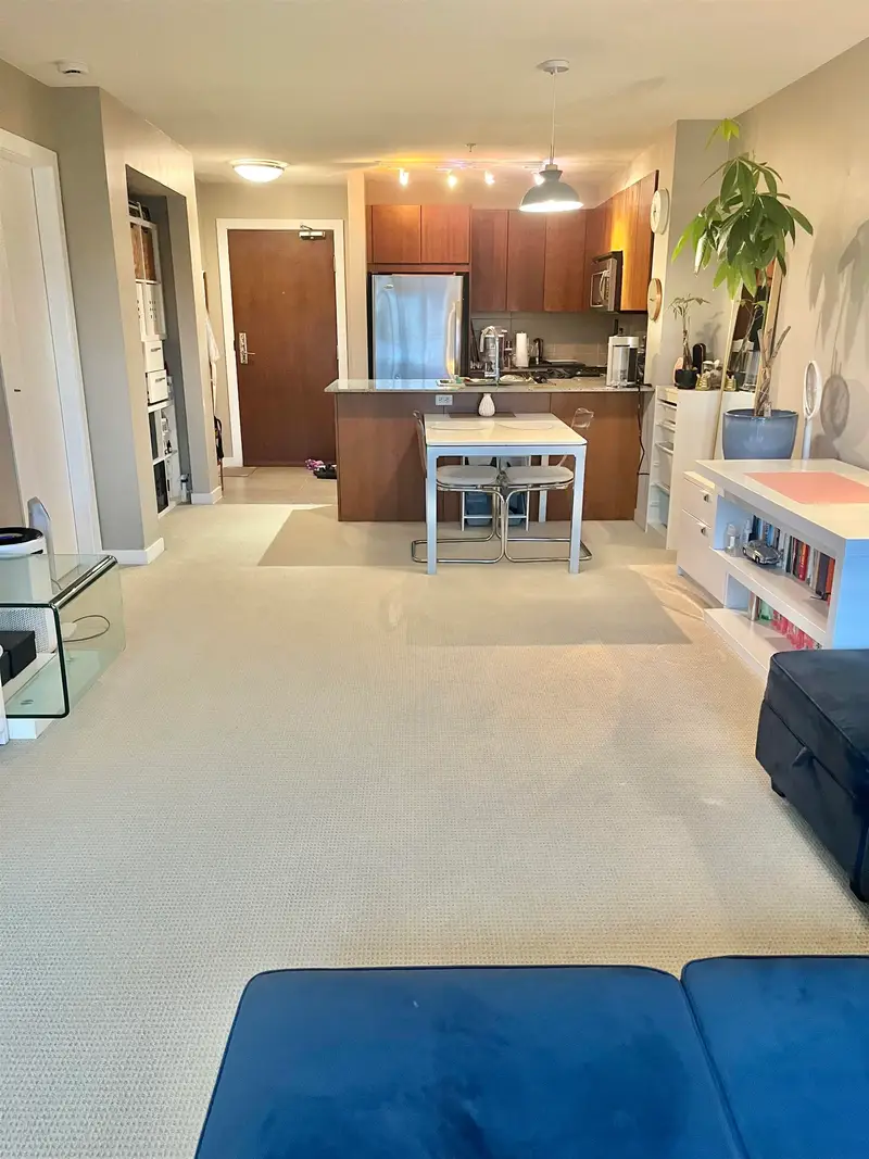 314 5889 IRMIN STREET - photo 2 of 14