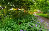 412 W 21ST AVENUE - thumbnail 36