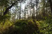 LOT C SUNSHINE COAST HIGHWAY - thumbnail 32
