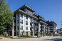 204 2450 GARDEN DRIVE - thumbnail 21