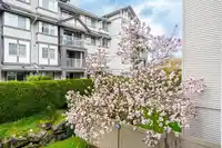206 19366 65 AVENUE - thumbnail 17