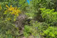 Lot 96 JOHNSTON HEIGHTS DRIVE - thumbnail 15