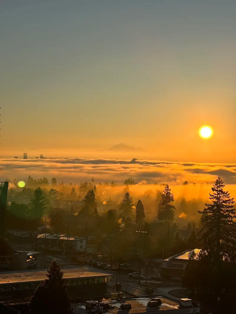 1606 7063 HALL AVENUE - photo 1 of 7