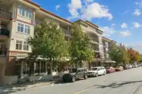 305 2632 PAULINE STREET - thumbnail 33