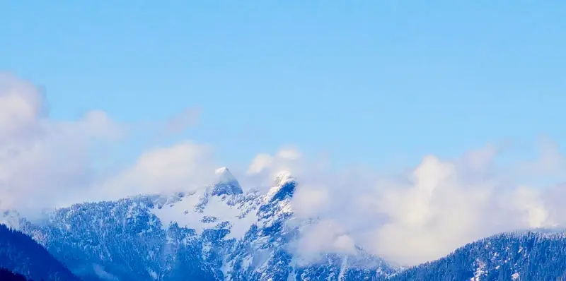 JNW33 415 W ESPLANADE - photo 3 of 24