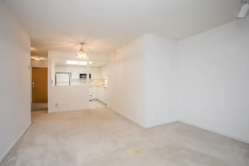 1003 1185 QUAYSIDE DRIVE DRIVE - photo 4 of 29