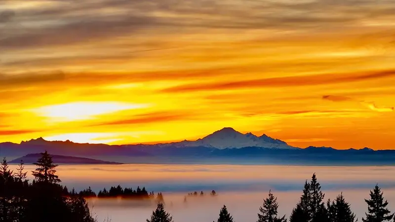 3066 TANAGER COURT - photo 2 of 25