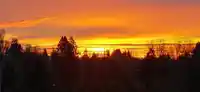 3297 MCKINLEY DRIVE - thumbnail 40