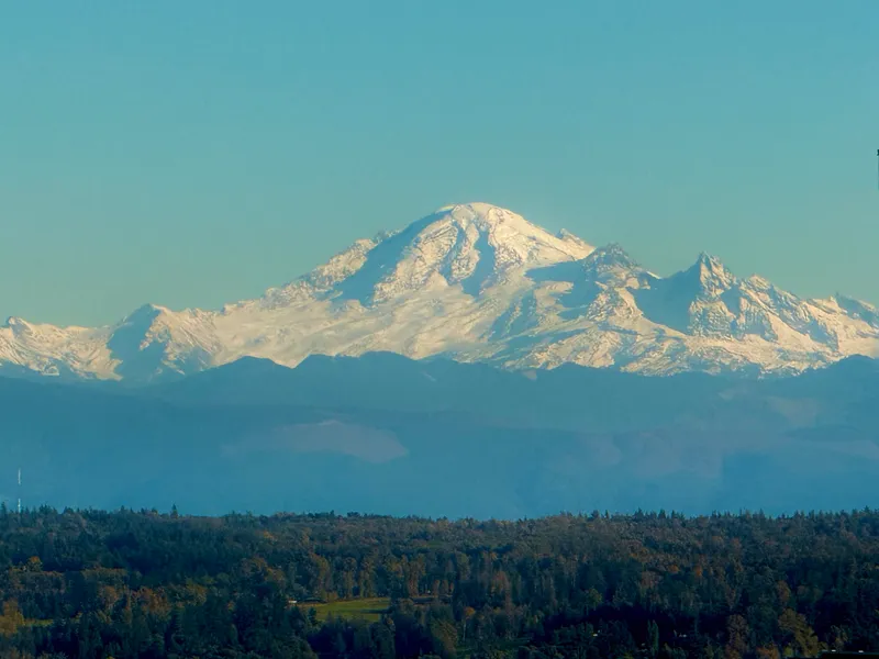 2001 1501 FOSTER STREET - photo 1 of 25