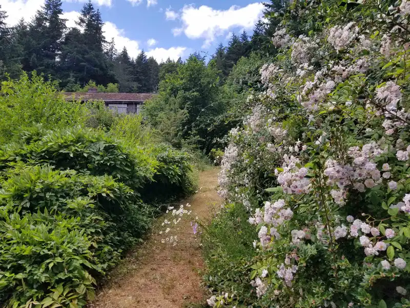 380 S WARBLER ROAD - photo 4 of 40